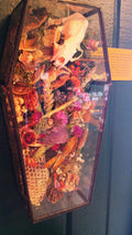 Glass Lid Coffin