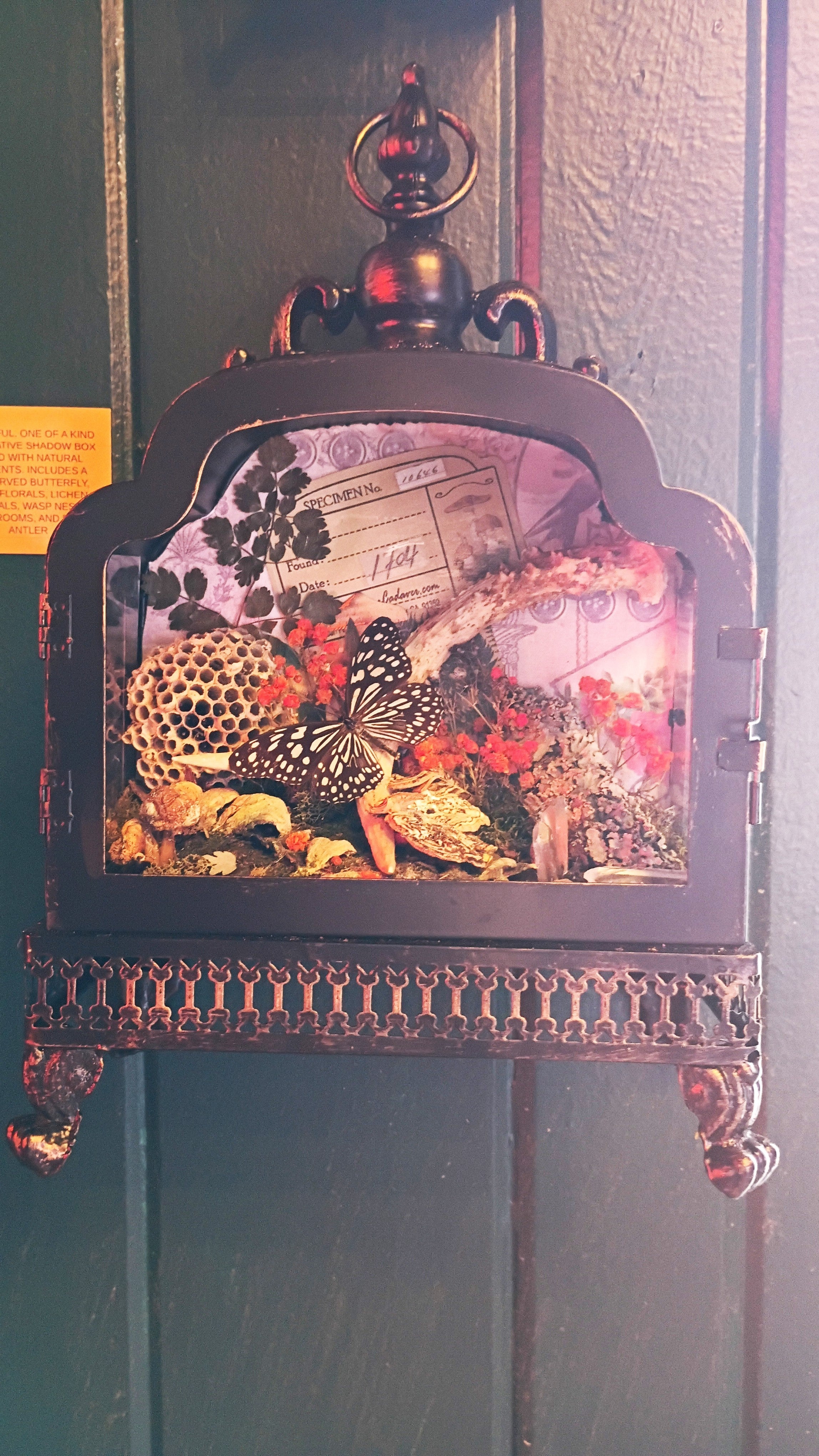 One-of-a-Kind Shadow Box
