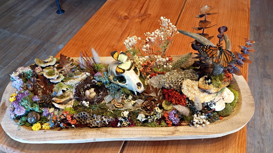 Organic Matter Artistic Oddity Display