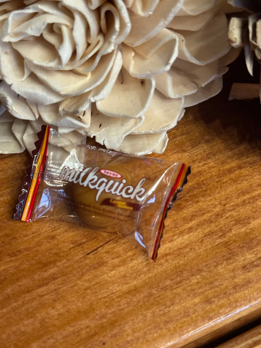 Tayas Milkquick Caramel
